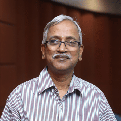 Professor K Narayanan